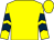 Yellow, dark blue chevrons on sleeves (Aristotle's Elements)