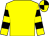 Yellow, black hooped sleeves, quartered cap (V Robinson)