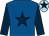 Royal blue, dark blue star and sleeves, light blue cap, dark blue star (Mr W P S Johnson)