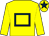 Yellow, dark blue hollow box and star on cap (McCarthy & Berry)