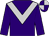 Purple, silver chevron, quartered cap (Mr Roy Van Gelder & Ms Rachel Hood)