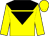 Yellow, black inverted triangle and yoke (Heart Of The South Racing 102)