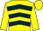 Yellow, dark blue chevrons, yellow sleeves and cap (Mr J A Gent)