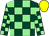 Dark green and light green check, yellow cap (Mr S Perkins)