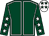 Dark green, white seams, dark green sleeves, white stars, white cap, dark green stars (Arc Racing Yorkshire X)
