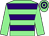 Light green, purple hoops, light green sleeves (Mr P W Hiatt)