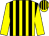 Yellow and black stripes, yellow sleeves (Hold Your Horses Racing & Mrs E Burke)