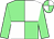Light green and white (quartered), light green sleeves (Mr H J P Farr)