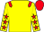 Yellow, red epaulets, yellow sleeves, red stars, red cap (Les Eyre Racing Partnership I)