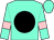 Aqua, black ball, pink armlets on sleeves (Clyde W Martin, Jr And John Grossi's Racing Corp)