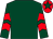 Dark green, red chevrons on sleeves, red cap, dark green star (Khdrp & Martyn Elvin)