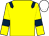 YELLOW, DARK BLUE epaulets and armlets, WHITE cap (Nil Sine Labore Partnership)