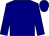Navy blue, apple green circle 'g' , apple green sleeves (Gilman Racing)