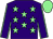 Purple, light green stars, light green seams on sleeves, light green cap (Ms E C Colgan)