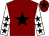 Maroon, black star, white sleeves, black stars, maroon cap, black star (Premier Racing Partnerships)