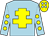 Light blue, yellow cross of lorraine, light blue sleeves, yellow spots, yellow cap, light blue spots (Mr David J Adams)