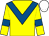 Yellow, royal blue chevron and armlets, white cap (Mr Denis Quinn)