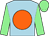 Light blue, orange disc, light green sleeves and cap (Feasibility Limited)