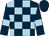 Dark blue and light blue check, dark blue sleeves, light blue armlets, dark blue cap (Suzy Brown, John Baird, Tony Evans)