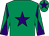 Emerald green, purple star, diabolo on sleeves and star on cap (Coolglen Syndicate)