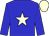 Blue, cream star, cream cap (Mt Brilliant Farm & Ranch, Llc)