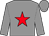 Grey, red star, grey cap (Joseph G Murphy)
