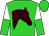 Lime green, brown horses head, white and lime green halved sleeves (Scrivener Stables, Skychai Racing Llc And Maker, Michael J)