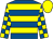 Royal blue, yellow hoops, checked sleeves, yellow cap (Nautical 5)