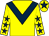 Yellow, dark blue chevron, yellow sleeves, dark blue stars, yellow cap, dark blue star (Mr B Bell, Mr T Messom & Mrs P Sturgis)