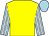 Yellow, light blue and white striped sleeves, light blue cap (Sarl Darpat France)