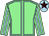 Light green, light blue seams, striped sleeves, light blue cap, brown star (Mr G V March & J S Moore)