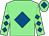 Light green, royal blue diamond, diamonds on sleeves, light green cap, royal blue diamond (Wiggin Robinson Wainwright Hill Daviso)