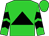 Lime green, black triangle, black chevrons on sleeves, lime green cap (Ptb Enterprise)