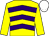 Yellow & purple chevrons, yellow sleeves, white cap (In It With The Lads Syndicate)