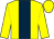 Yellow, dark blue stripe (Three Counties Racing)