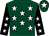 Dark green, white stars, black sleeves, white stars, dark green cap, white star (Di Vincenzo, Capps, Smith & Partner)