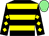 Black, yellow hoops, diamonds on sleeves, light green cap (Mr Stephen Appelbee)