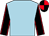 Light blue, black sleeves, red seams, red & black quartered cap (Geraldine Worcester)