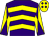 Purple & yellow chevrons, diabolo on sleeves, yellow cap, purple diamonds (Theresa Gilson)