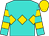 Turquoise, gold diamond hoop, gold hoops on sleeves, gold cap (Three Diamonds Farm)