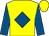 Yellow, royal blue diamond and sleeves (The Garratt Family)