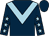 Dark blue, light blue chevron, dark blue sleeves, light blue stars (The Clean Sweep Partnership)