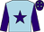 Light blue, purple star and sleeves, purple cap, light blue stars (Read & Morgan)