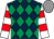 Dark blue and emerald green diamonds, white and red hooped sleeves, grey cap (Robert Greenwood Racing & Wayne Smith)