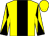 Yellow, black stripe, diabolo on sleeves (The Ray Of Hope Partnership)
