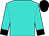 Turquoise, black cuffs and cap (Southwest Racing Stables And Lewis, Steve H)