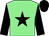 Light green, black star & sleeves, black cap (Robin Syndicate)