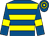 Royal blue, yellow hoops and armlets (Nightingale Syndicate)