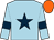 Light blue, dark blue star, dark blue armlet, orange cap (Hans Krebs)