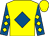 Yellow, royal blue diamond, royal blue sleeves, yellow diamonds (Mark E Smith & The Excellent Dees)